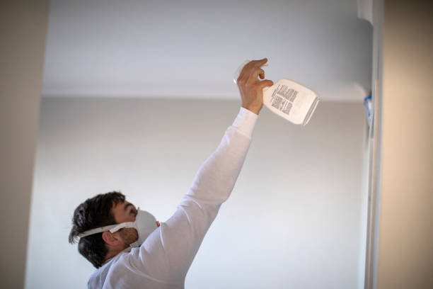 Best DIY Mold Remediation Support Services in Marlow, OK