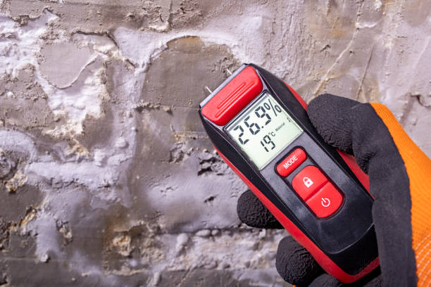 Best Industrial Mold Remediation in Marlow, OK