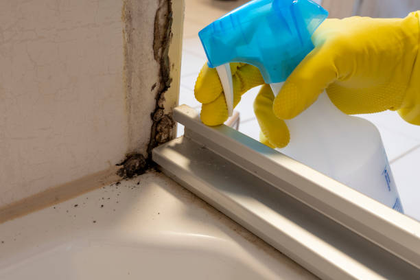 Best Mold Remediation for Specific Building Types in Marlow, OK