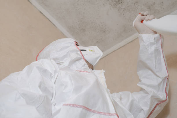 Best Health and Safety Mold Remediation in Marlow, OK