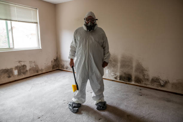 Best Basement Mold Remediation in Marlow, OK