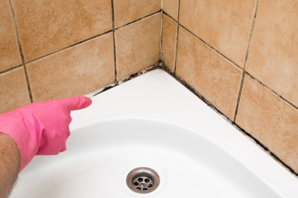 Best HVAC Mold Remediation in Marlow, OK
